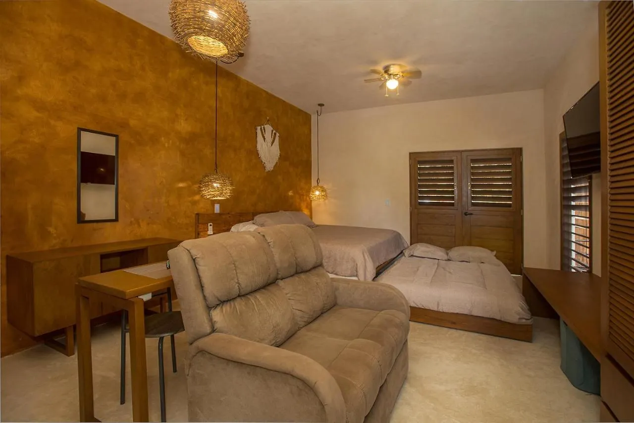 Wayuum Suites Cozumel Oasis In Paradise