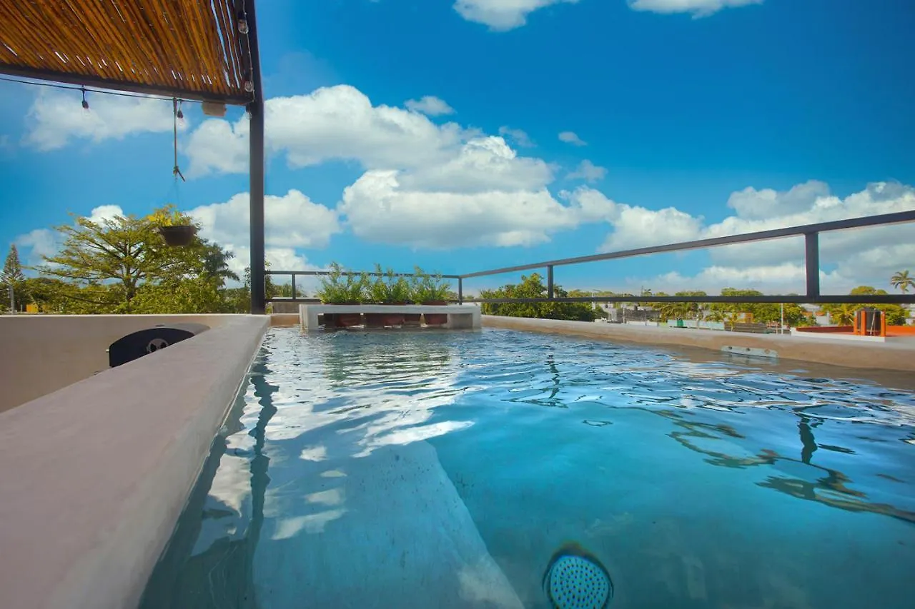 Apartment Wayuum Suites Cozumel Oasis In Paradise Mexico