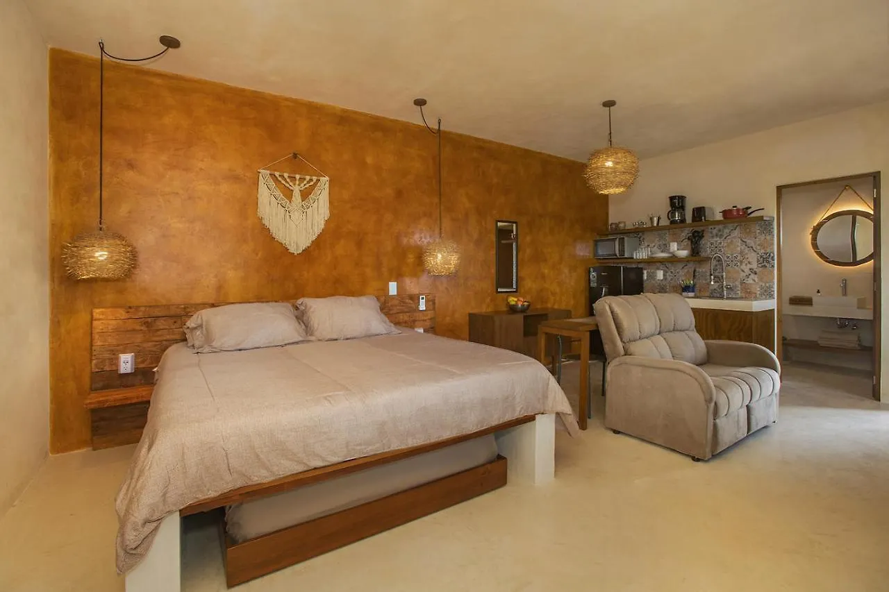 Apartment Wayuum Suites Cozumel Oasis In Paradise