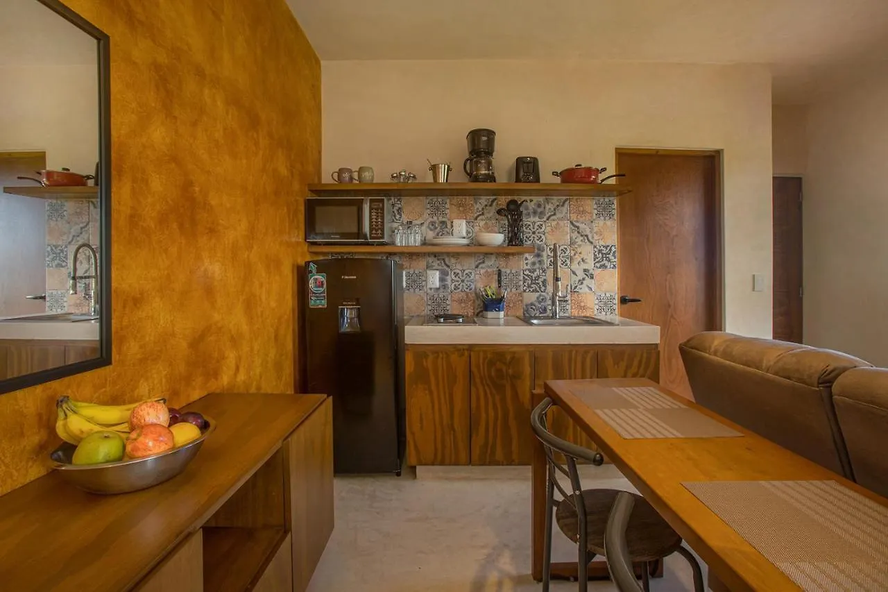 Wayuum Suites Cozumel Oasis In Paradise