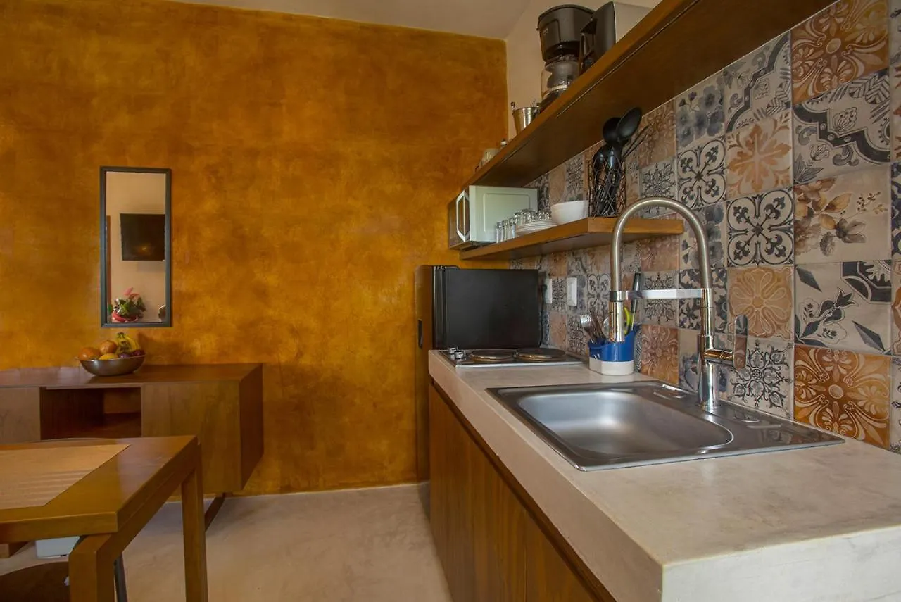Apartment Wayuum Suites Cozumel Oasis In Paradise Mexico