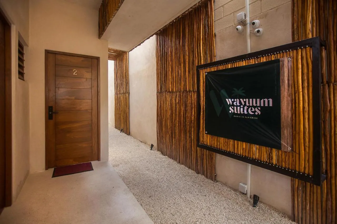 Wayuum Suites Cozumel Oasis In Paradise